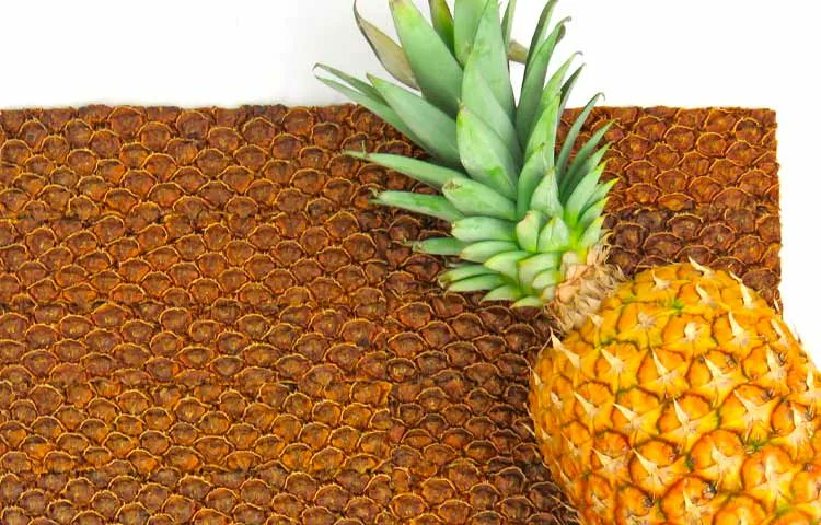 STYLEAMERICAmag's tweet photo. Crean #Material orgánico a base desechos de cáscara de piña https://t.co/prEn5sCHvy para la industria de la #moda y #accesorios, un gran ejemplo en términos de #sustentabilidad y economía circular. #StyleMateriales https://t.co/6NyovS9rxx