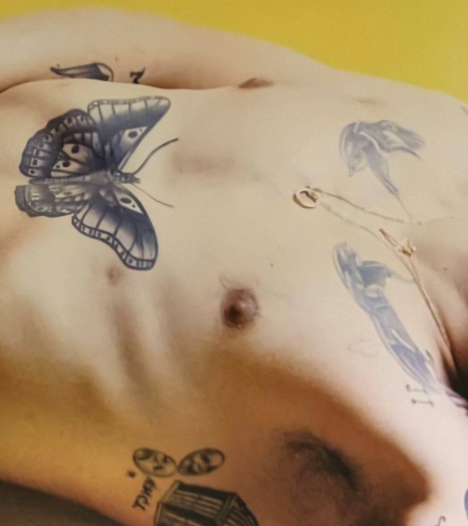 Fine Line by Harry Styles. The poster.