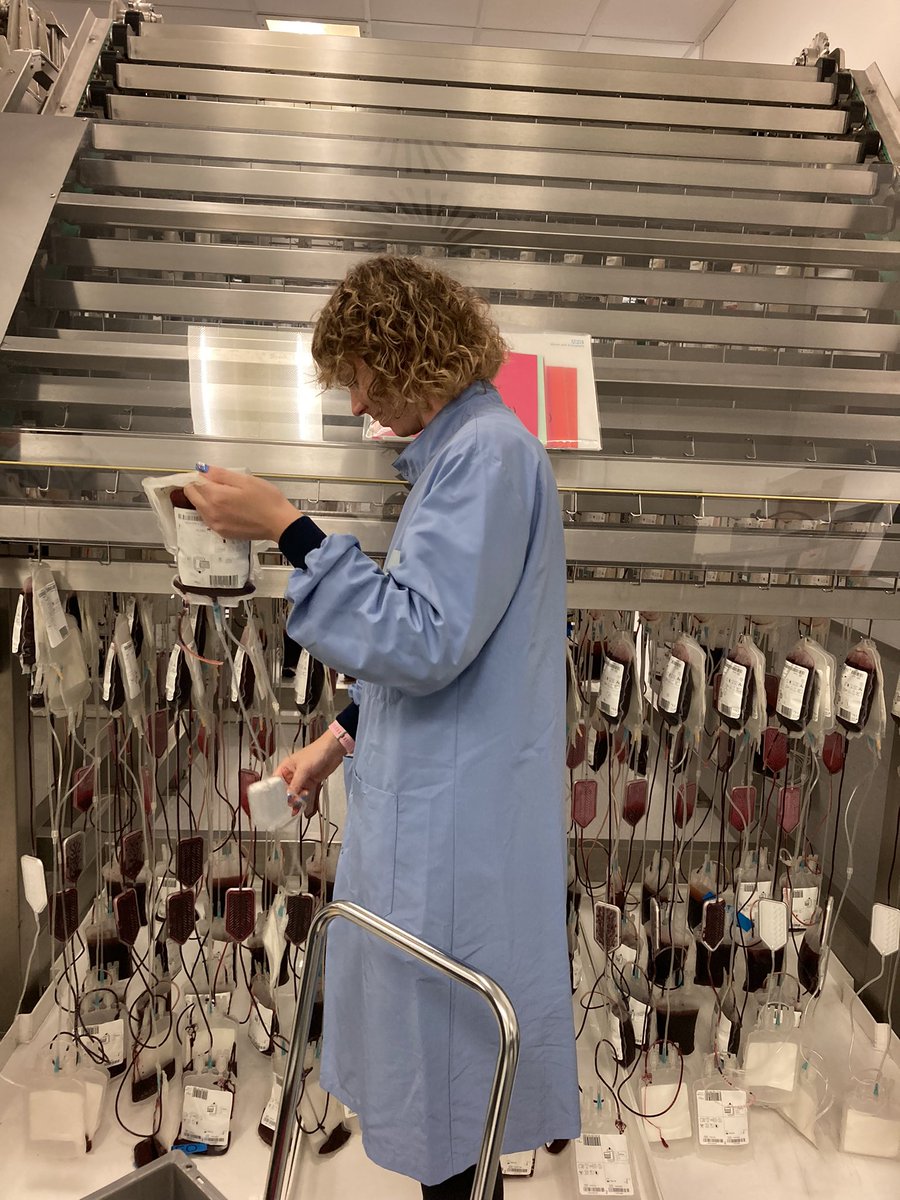 iroroagba's tweet photo. Enjoyable couple of days at @NHSBT Filton, spending time with passionate quality and operational teams (blood processing and tissue &amp; eye service) https://t.co/hZc0qJsCEA