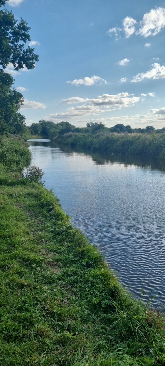 Starting to rekindle my love of my early eve walks again. No one around, total peace and quiet.