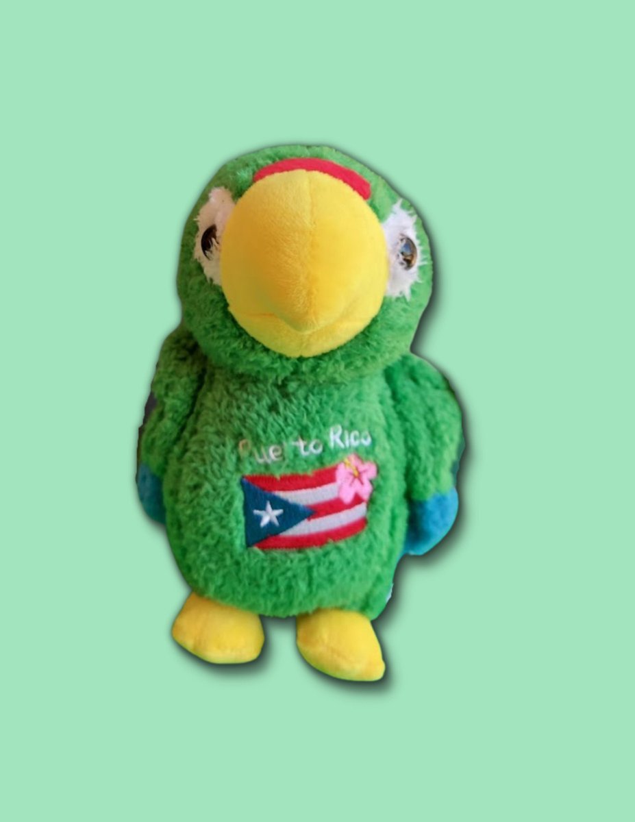 Excited to share the latest addition to my #etsy shop: Puerto Rican Parrot Plush Toy etsy.me/3JqdWic #puertorioctoy #puertorico #elyunque #cocolacotorra #puertoricanparrot #amazonavittata #iguaca #peluchecotorra #parrotplushtoy