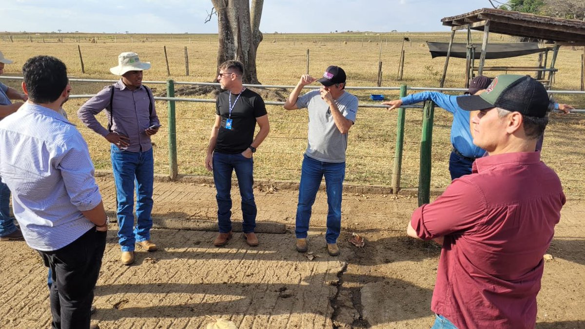 NorteAgroTO's tweet photo. 🐄🐮🥛 Capacitação e conhecimento: Senar Tocantins e Sebrae reúnem produtores de leite e profissionais para missão técnica no Estado de Goiás.
▶️ Confira como foi o trabalho: https://t.co/1uDreIkh64
#NorteAgroTO #pecuariadeleite #pecuarialeiteira #producaodeleite #leite #milk https://t.co/ZsbXNynyAr