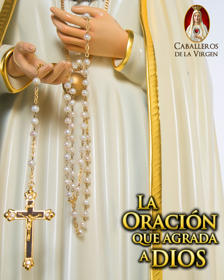 Caballeros de la Virgen tweet media