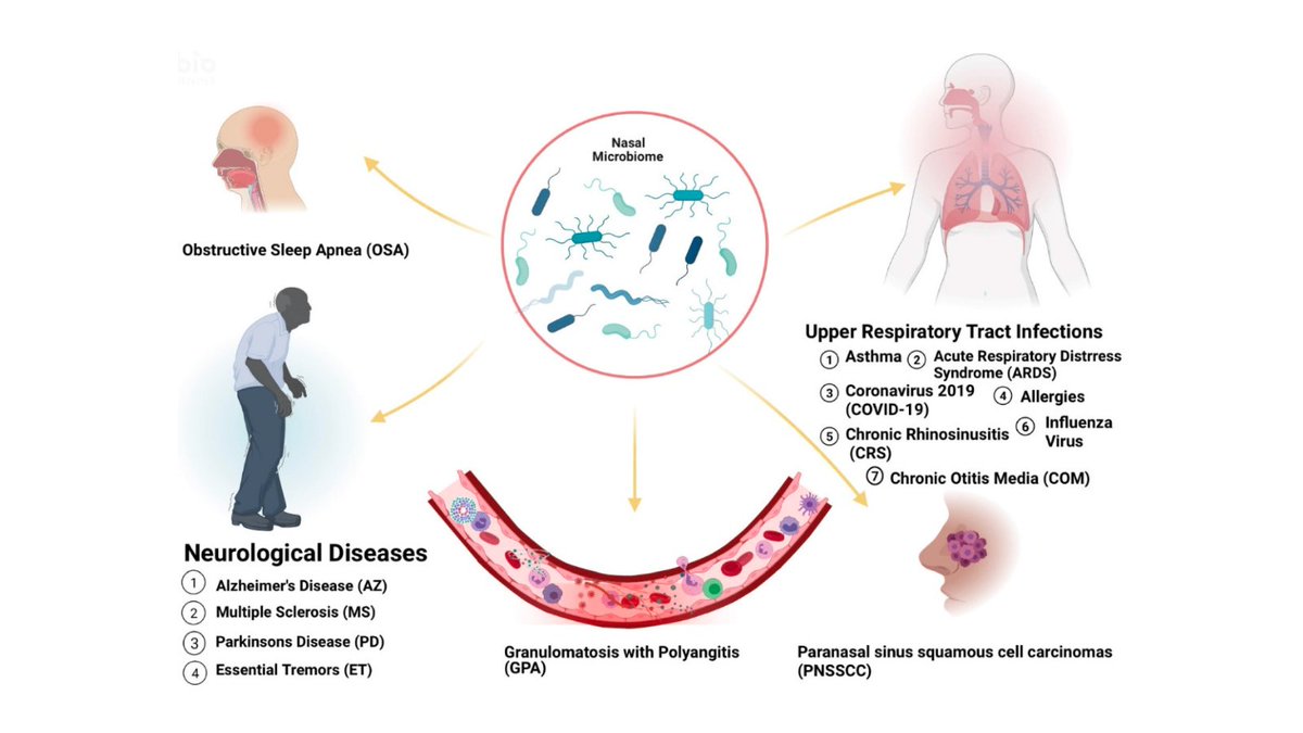 The Nasal Microbiome.

What it is and why you should care.

//A Thread// https://t.co/Nm6FFlYQOU