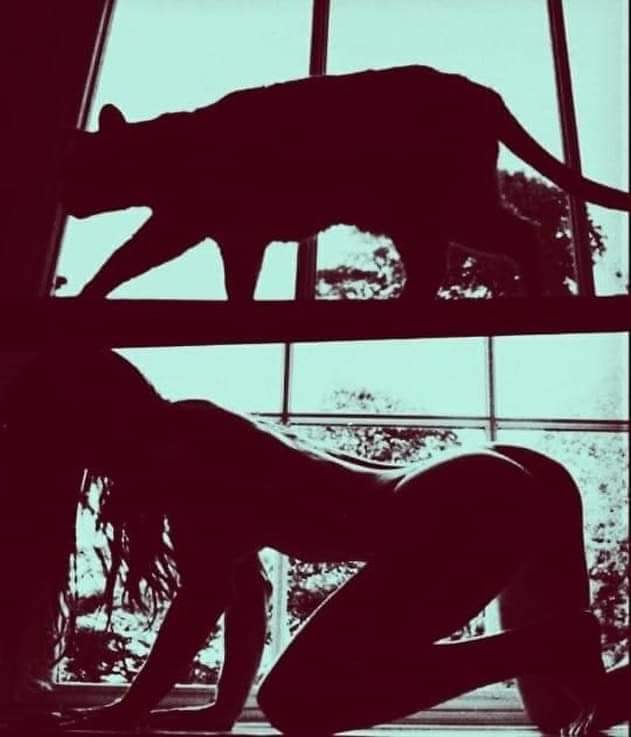 sabrineshiva's tweet photo. ❣️ https://t.co/UCj2KBmaqb