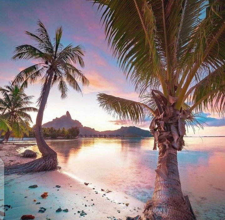 Lovely Evening 🌿🌴💛