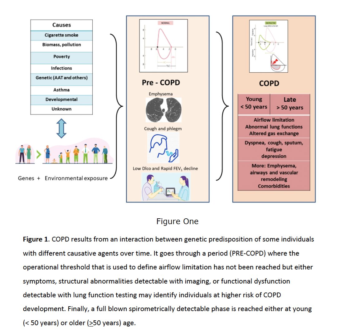 pulmonology101's tweet photo. @ATSBlueEditor Definition and Nomenclature of #COPD: Time for its Revision. https://t.co/sZccAbJ85S @asoneumocito142 @ALATorax @ALAT_Asma @efrasanchez @GOLD_COPD @SeparRespira @separepoc @SeparJovenes @milenag71673854 @Majito25MD @meilan_han @donsin4 @MonaBafadhel @COPDdoc https://t.co/NfmIicNiEF