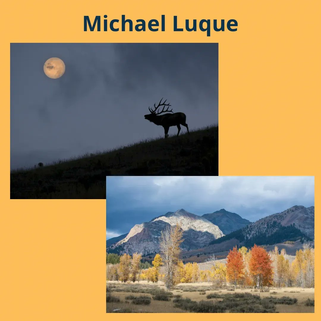 SunriverArtFair's tweet photo. Michael Luque and Zack Schnepf captured beautiful moments on camera and will have them on display at the Sunriver Art Fair Aug. 12-14📸 https://t.co/ulpGkubvSe
