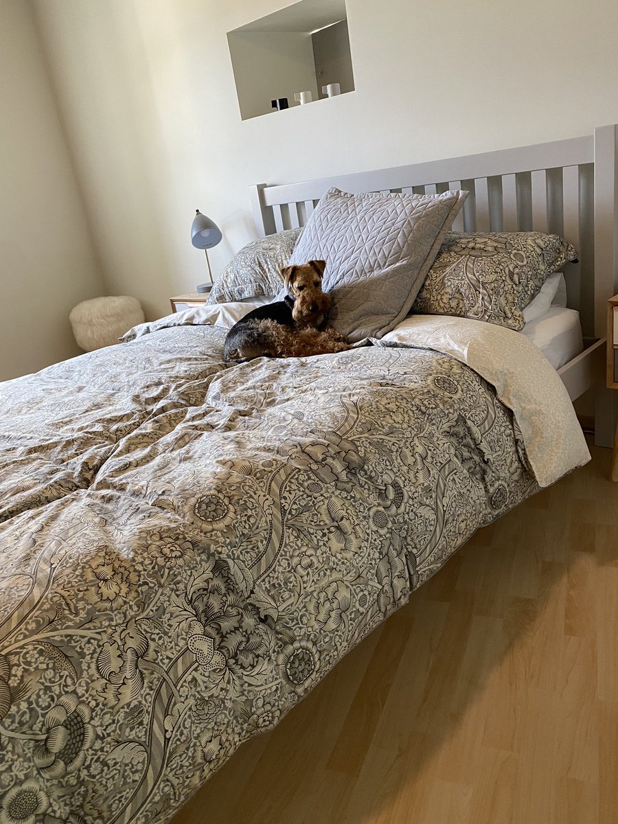 We has had a luffly long frenchy holiday and now be heading home pals after lotsa loafin around all over da place ☺️ Here we come ferry bateau ⛴