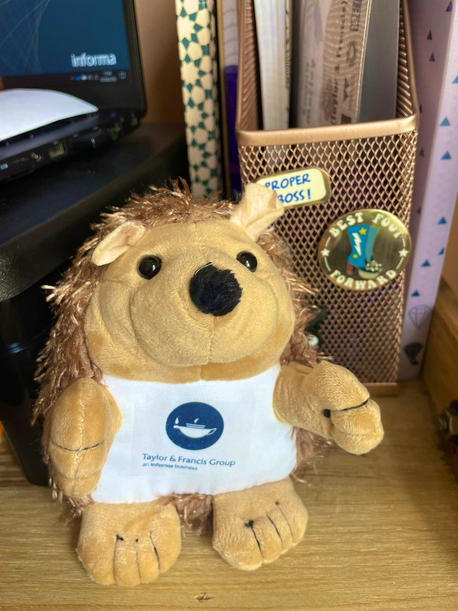 To all concerned after my devastating loss a few weeks ago…

A replacement T&amp;F hog was very kindly sourced &amp; turned up in my mail🦔 

One will also shortly be on the way to the kind NAM conference organisers below who mourned my original hog with me!