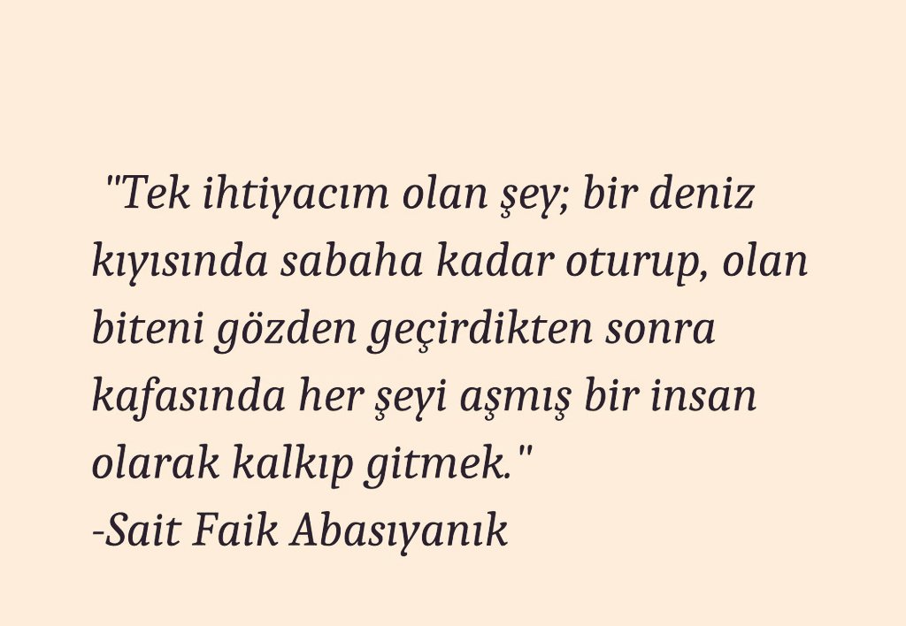 Sansi (@sleymanaltunbas) on Twitter photo 