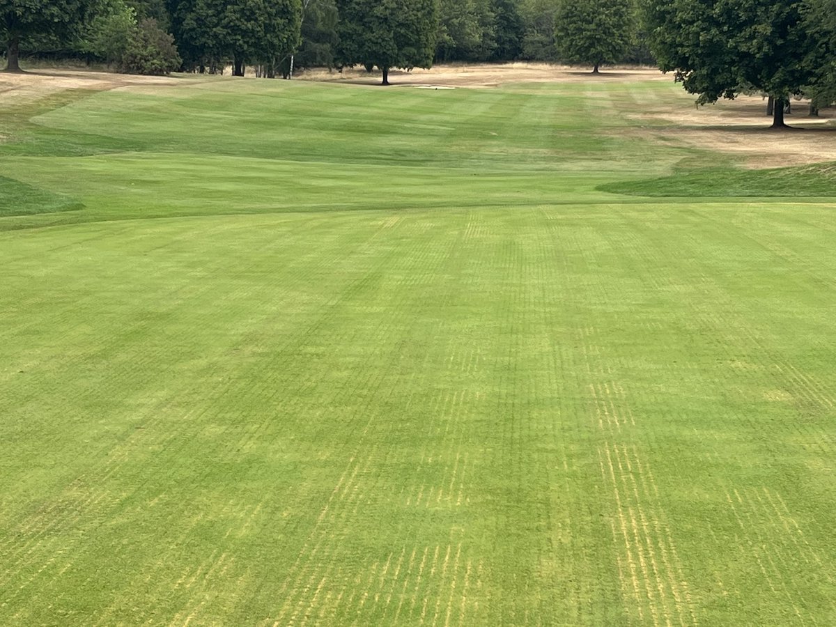 Lee Bishop tweet media