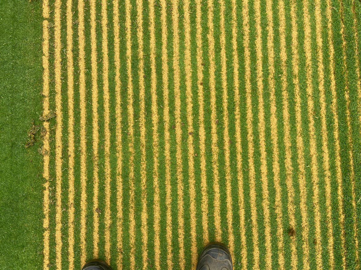 Lee Bishop tweet media