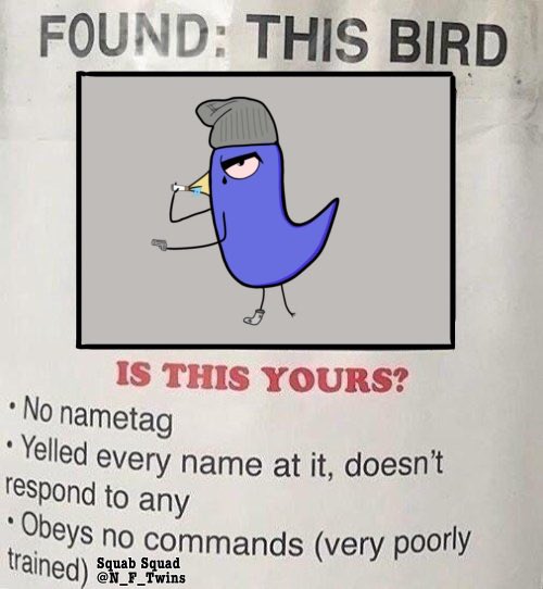 NFTwins 🔺 | Squabs currently minting! tweet media