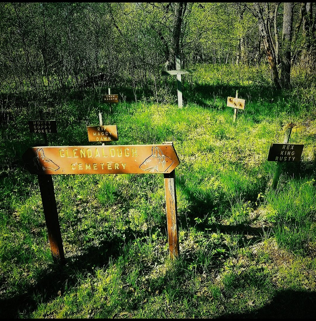 96jazzybear69's tweet photo. Photo: Pet Cemetery 
#photo #PhotoOfTheDay #photographer #Pet #Cemetery #beautiful #spooky #peace #outdoors https://t.co/Z8mrdOXGzY