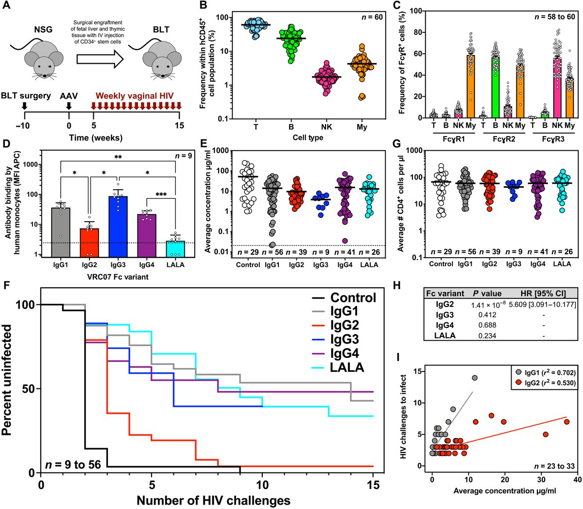 New work from <a href="/BalazsLab/">Balazs Lab</a> deciphers how IgG subclass influences the protective abilities of a broadly neutralizing anti #HIV antibody in mice – a discovery that could inform efforts to prevent HIV transmission with antibody prophylactics. <a href="/ragoninstitute/">Ragon Institute</a> fcld.ly/355nfpz