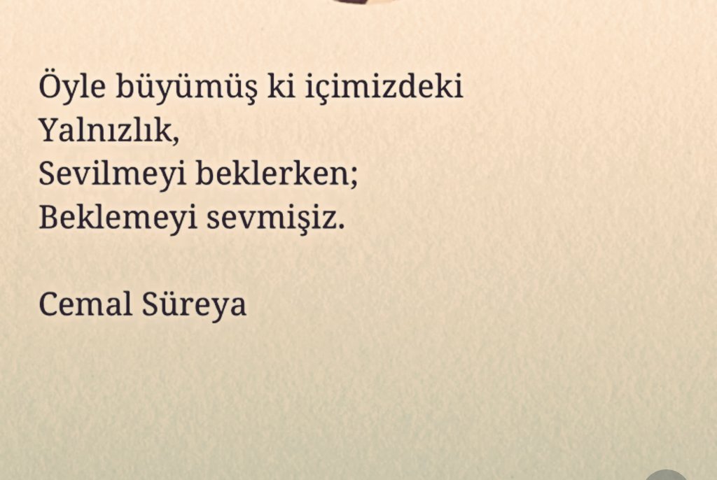 Sansi (@sleymanaltunbas) on Twitter photo 