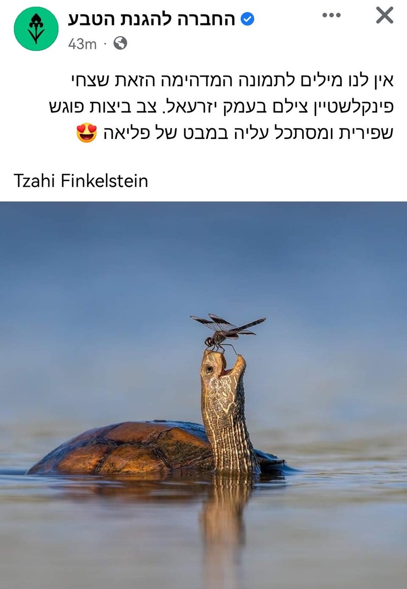 matan_amirr's tweet image. וואט דה פאקקקקקק עף לי המוח מהתמונה הזאת 💥