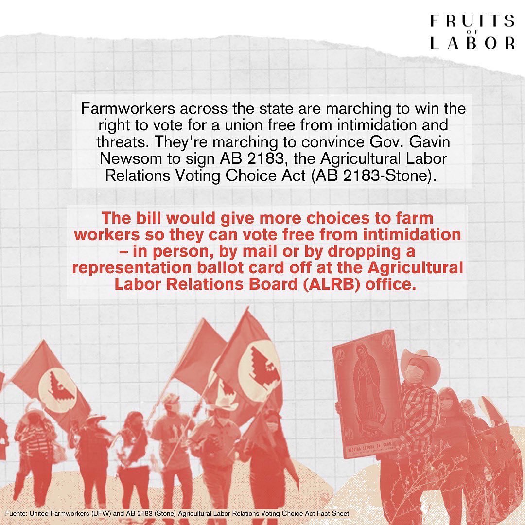 ✊🏽 A historic march kicks off in Delano TODAY! 📣

California farmworkers will march 335 miles to the Sacramento State Capitol to demand Gov. Gavin Newsom’s signature on #AB2183.