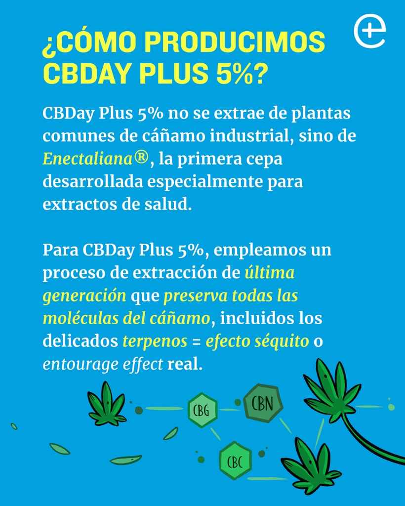 💁🏼‍♀️Te contamos todo lo que necesitas saber sobre nuestro nuevo #aceitedeCBD full-spectrum: #CBDayPlus 5%. ¡Una revolución en el mercado de los extractos!

Accede a él 👉🏻 enecta.es/products/cbday…

#enecta #cbday #aceitedecannabis #CBD #terpenos #ansiedad #estrés #bienestar #salud