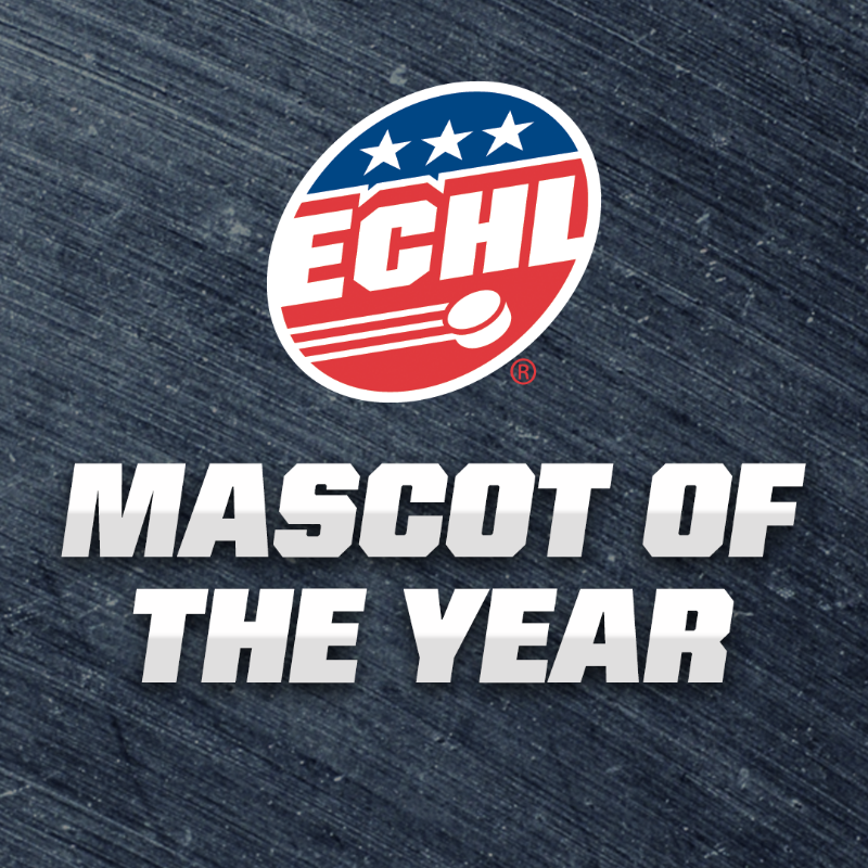 ECHL's tweet photo. Voting for the 2022 #ECHL Mascot of the Year starts NOW! 🤩
Vote daily for who you think is the best of the best!
VOTE ➡️ https://t.co/yB5MBInXp1