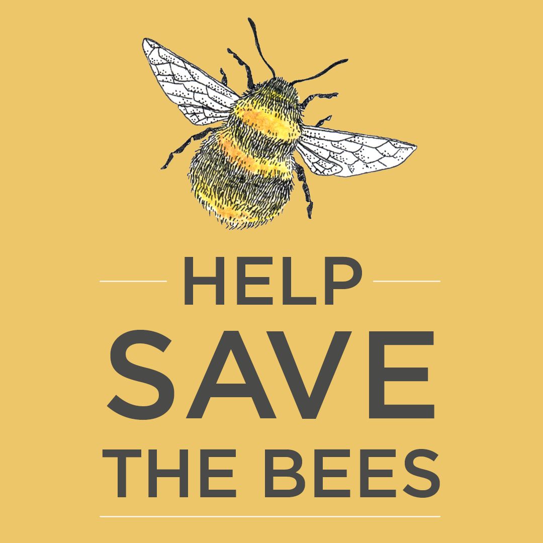 WildlifeTrusts's tweet image. We're proud to support our friends over at #StandByBees to call for a reduction in the use of harmful pesticides, to help protect our amazing pollinating insects 🐝 🐝 #ActionForInsects standbybees.co.uk