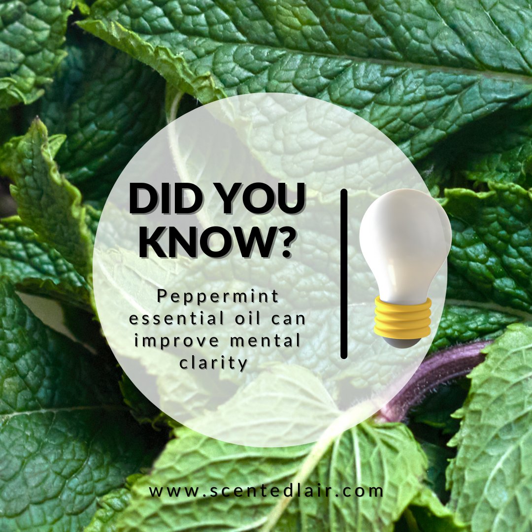DID YOU KNOW....

.

.

.

#thescentedlair #smellthis #hearthis #feelthis #tastethis #downtownbrampton