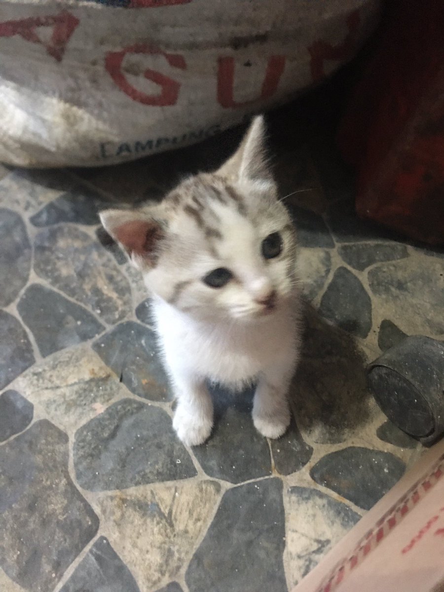 https_ayyuni's tweet photo. bener" luu ye, abis di mandiin ga balik sampe sekarang 😭 https://t.co/H1dj5zY8zO