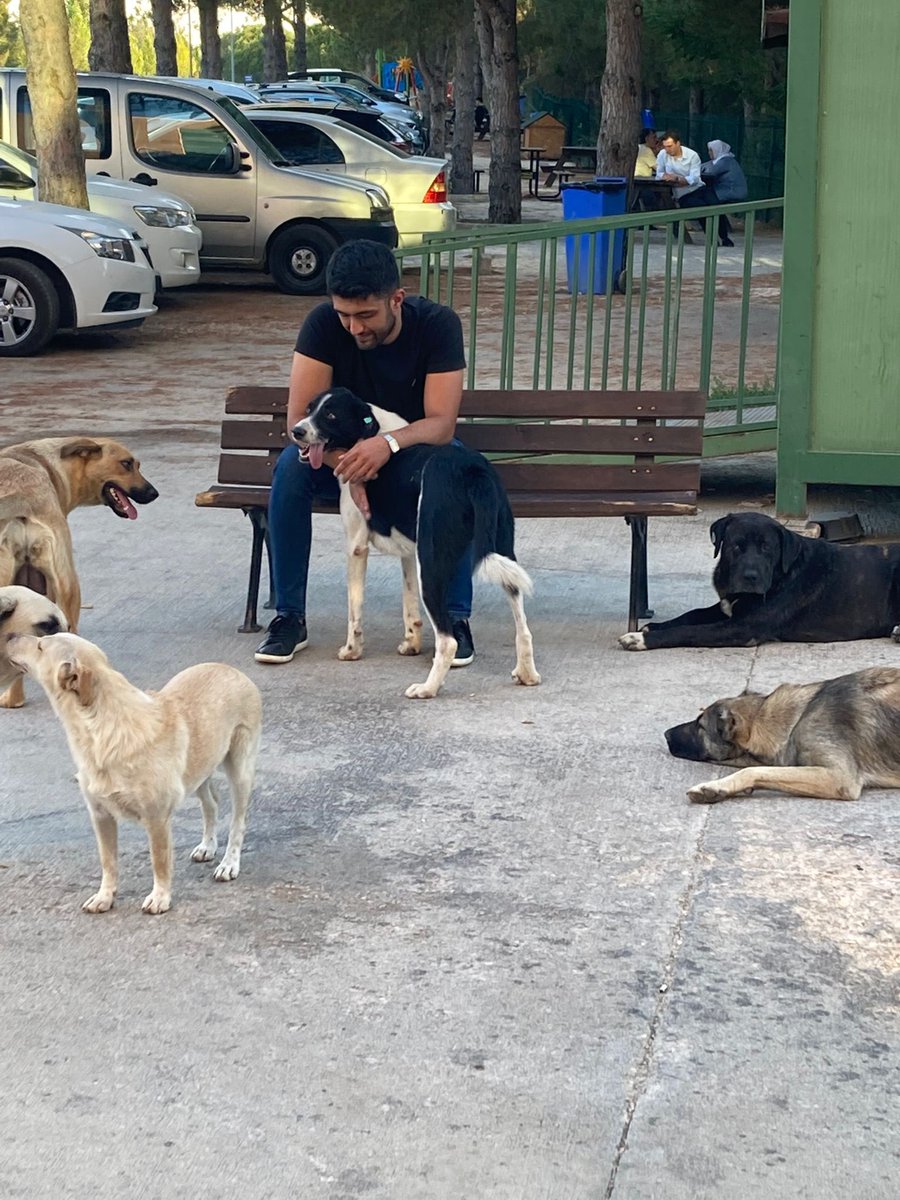 aliinall's tweet photo. gercek kopek sahipsiz kopektir iyi geceler https://t.co/GredLAXNSF