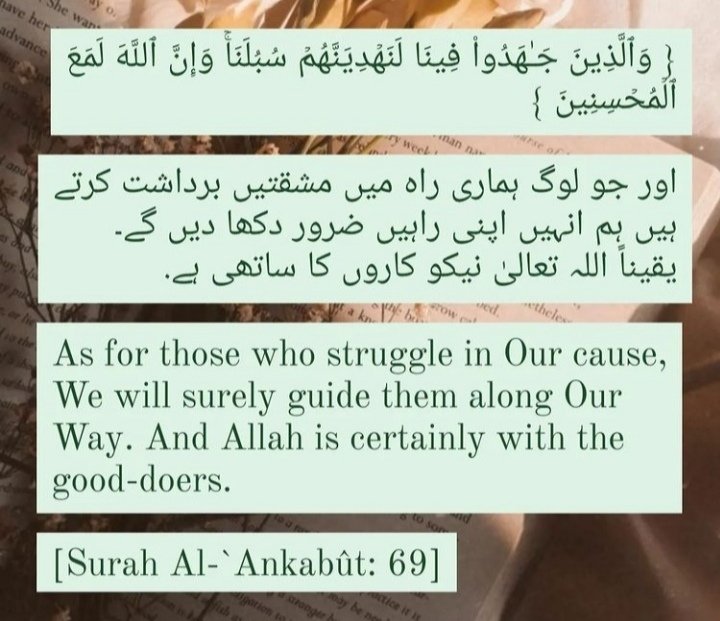 ▪️𝐒𝐚𝐦𝐚𝐧 𝐀𝐝𝐧𝐚𝐧 🦋 ثمن▪️ (@smnkhaleeqmalik) on Twitter photo 