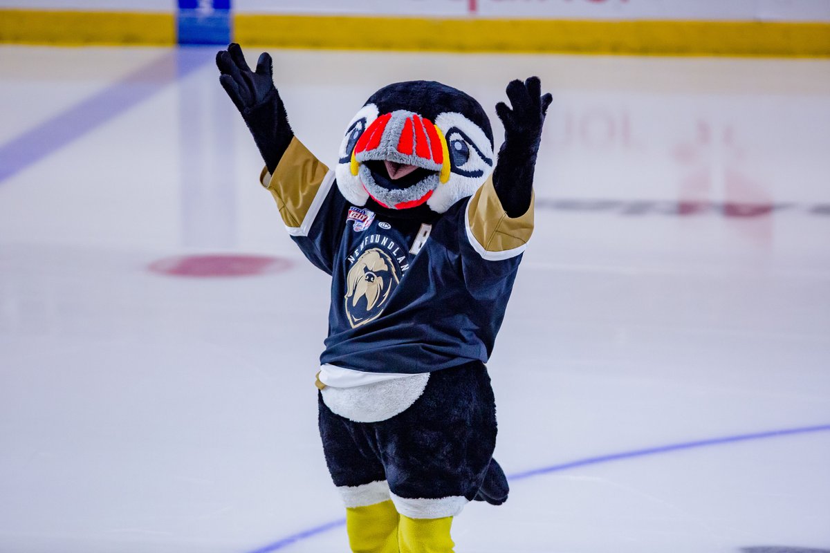 NLGrowlers's tweet photo. Voting for the 2022 #ECHL Mascot of the Year starts NOW! 🤩

VOTE FOR BUDDY ➡️ https://t.co/M8H9J3c2I3

#Buddy92 #Buddy92 #Buddy92 #Buddy92 https://t.co/yAaLInOeQK
