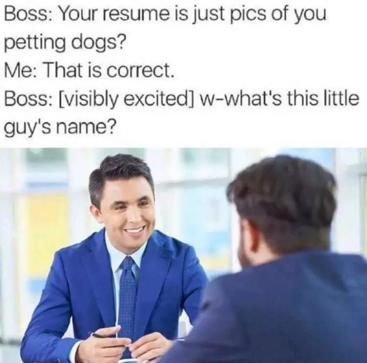 WholesomeMemes tweet media