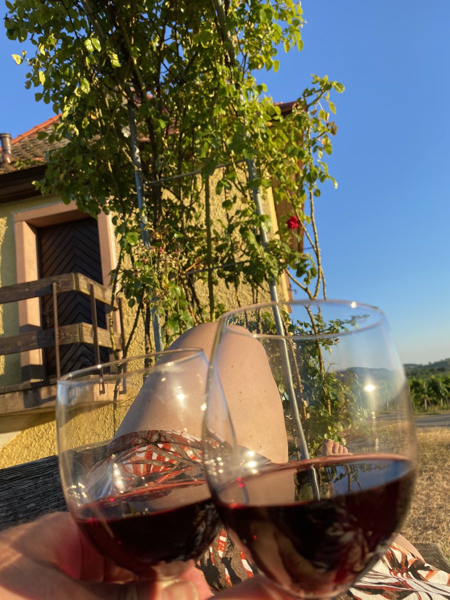 Auf unsere Weinspürhunde ist Verlass 🥰 

#weinprobe #tretroller #reben #markgraeflerrollertouren #cafeemotion #weinundhof #cuvee #rotwein #hunde #australianshepherd #spuerhunde #huegelheim #wein #dogs