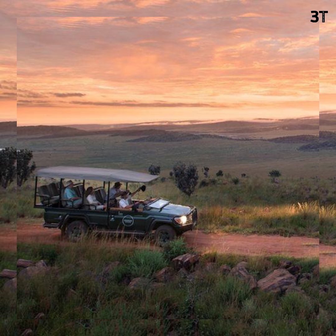 TimeTwoTravel_'s tweet image. Mhondoro safari lodge &amp;amp; villa, South Africa 🐘

Discover this beautiful 5 star safari lodge located in the Welgevonden Game Reserve in Northern South Africa. Suites and villa of very high standing for an optimal relaxation 🦒

#SouthAfrica #safari #big5 #timetwotravel #Travel