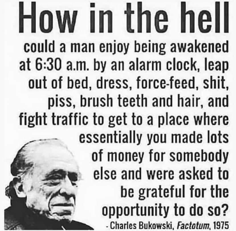 Solrac214Solrac's tweet photo. #WednesdayRealness #WednesdayThought #WednesdayWit #WednesdayMotivaton https://t.co/QMlcSKbdSf