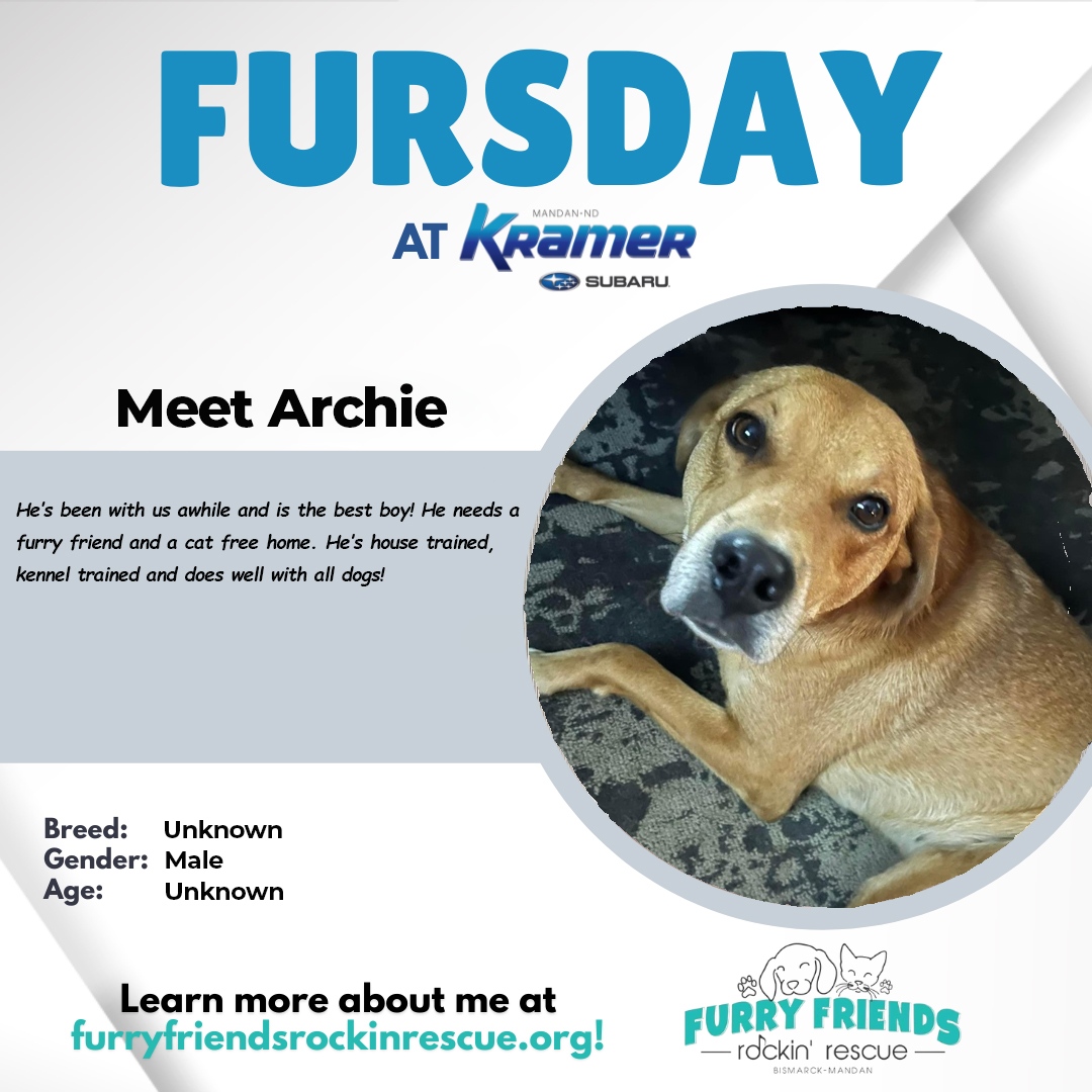 KramerAutomoti2's tweet image. 🐶 Tomorrow is #FURsday! Take a break from your busy day and come meet Archie at our sister location, #KramerSubaru! 

Come out and see us.
📍700 Old Red Trail
Mandan, ND 58554
☎️ (701) 490-8874

#Kramer #KramerLovesPets#FurryFriends #KramerFamily #MandanND