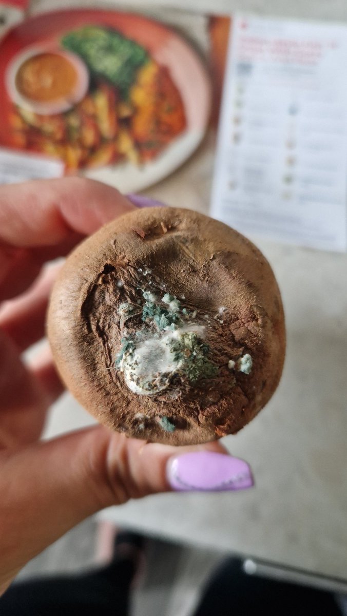 _megah's tweet photo. @goustocooking never normally have problems but this week's box contains a sweet potato going mouldy https://t.co/1CW5sskcpa