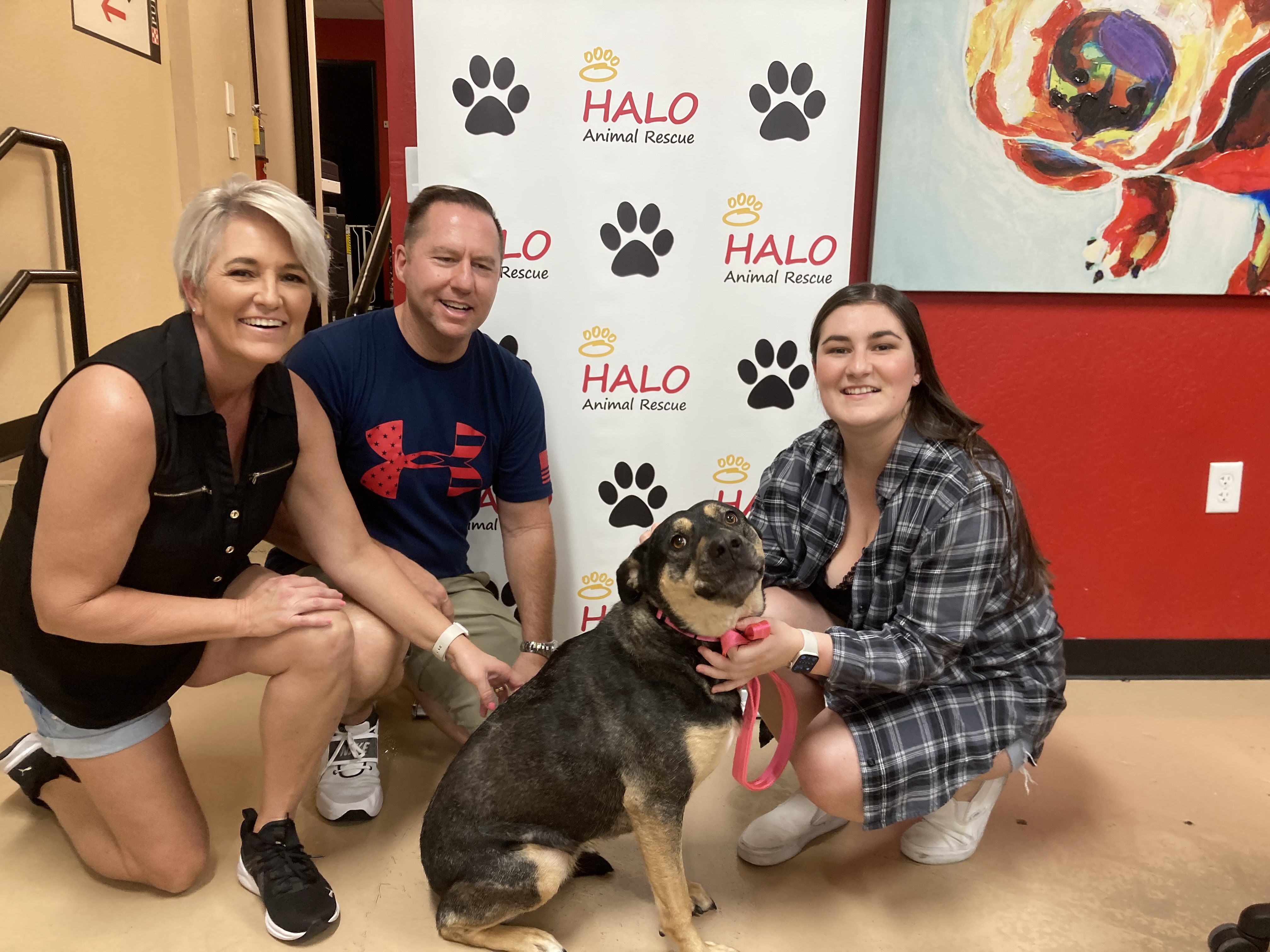 HALO Animal Rescue on Twitter: 
