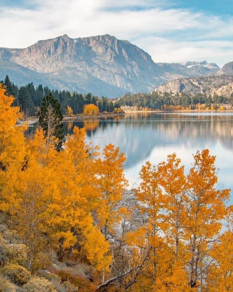 Laura G on Twitter "RT EasternSierra Mono County Fall Colors will