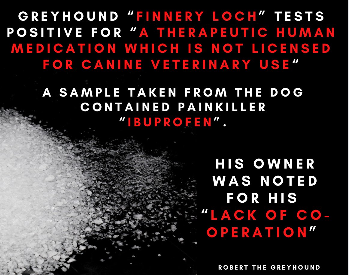 GreyhoundRobert's tweet photo. Another Ibuprofen positive in #Greyhound FINNERY LOCH, who's owner was noted for being uncooperative during the sampling. Almost as if he knew he shouldn't be racing a dog doped on painkillers not licensed for veterinary use! #DopedDogs #BanGreyhoundRacing https://t.co/yyWOGlMoRp