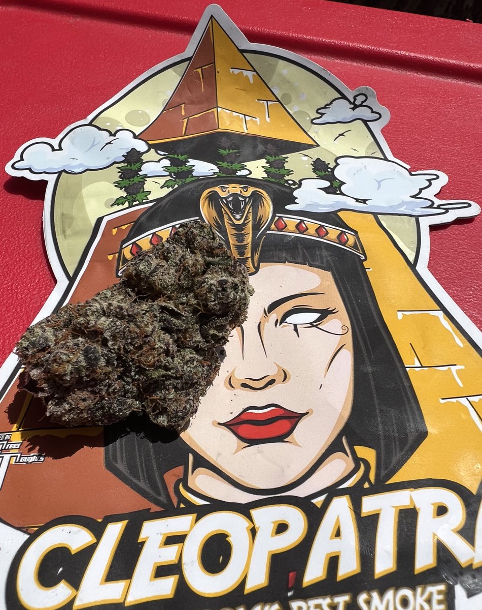 CleoCannaClub NFT- Minting Now tweet media