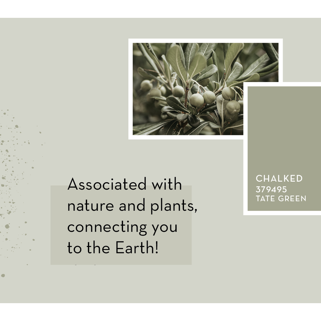 This month, we're all about cooling and calming earth tones with our newest Chalked shade: Tate Green! 🌵
bit.ly/3vCOSyE

#MoodoftheMonth #RustoleumCAN #Primer #Paint #DIY #DIYer #DIYHomeDecor #DIYDecor #DIYProjects