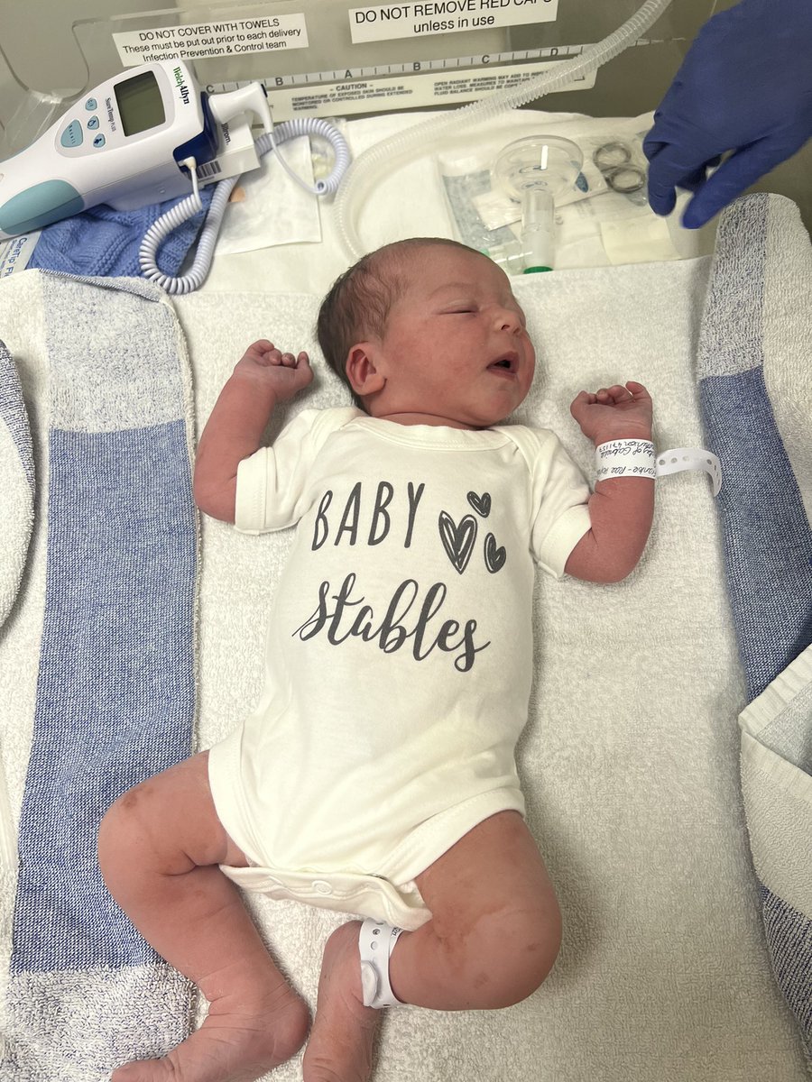 Tracy Tate tweet media