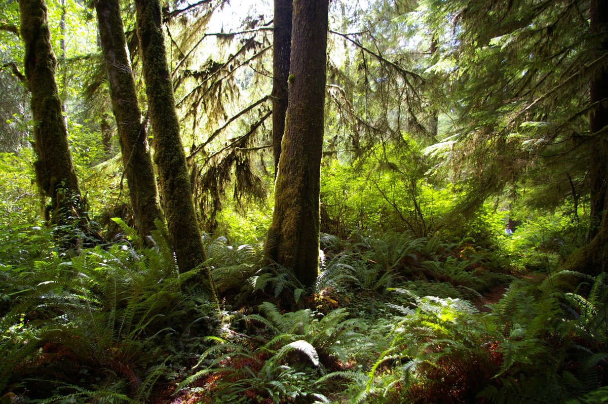 Jocelyn Stacey (@jocelynstacey) on Twitter photo What is a #ClimateEmergency Declaration? Are they doing anything? How do they expose simplistic assumptions about how emergencies are governed in law? If youāre interested in #climatechange, emergencies and law, check out my new article <a href="/TELjournal/">Transnatl Enviro Law</a>: cambridge.org/core/journals/⦠What is a #ClimateEmergency Declaration? Are they doing anything? How do they expose simplistic assumptions about how emergencies are governed in law? If youāre interested in #climatechange, emergencies and law, check out my new article <a href="/TELjournal/">Transnatl Enviro Law</a>: cambridge.org/core/journals/ā¦