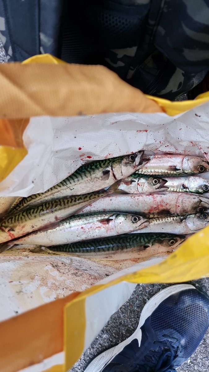 Fun wii day off for me too a while and a wait for me to catch