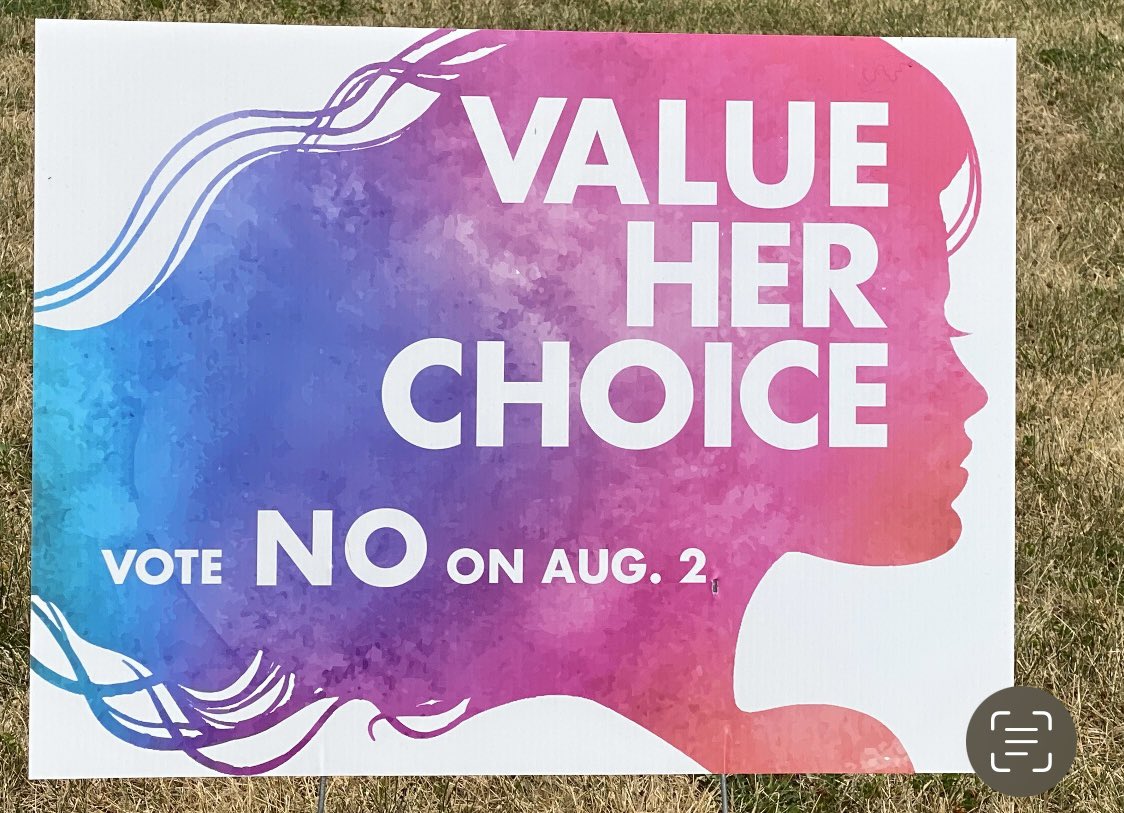 cindy4kansas's tweet photo. There were lots of super creative #VoteNo signs across the state.  

Here are a couple variations that were popular around my neighborhood.  

What different signs were near your neighborhood/part of Kansas? Post below!  #ksleg #VoteNeigh #Election2022 #2022Primary https://t.co/nHtNy7jWqw