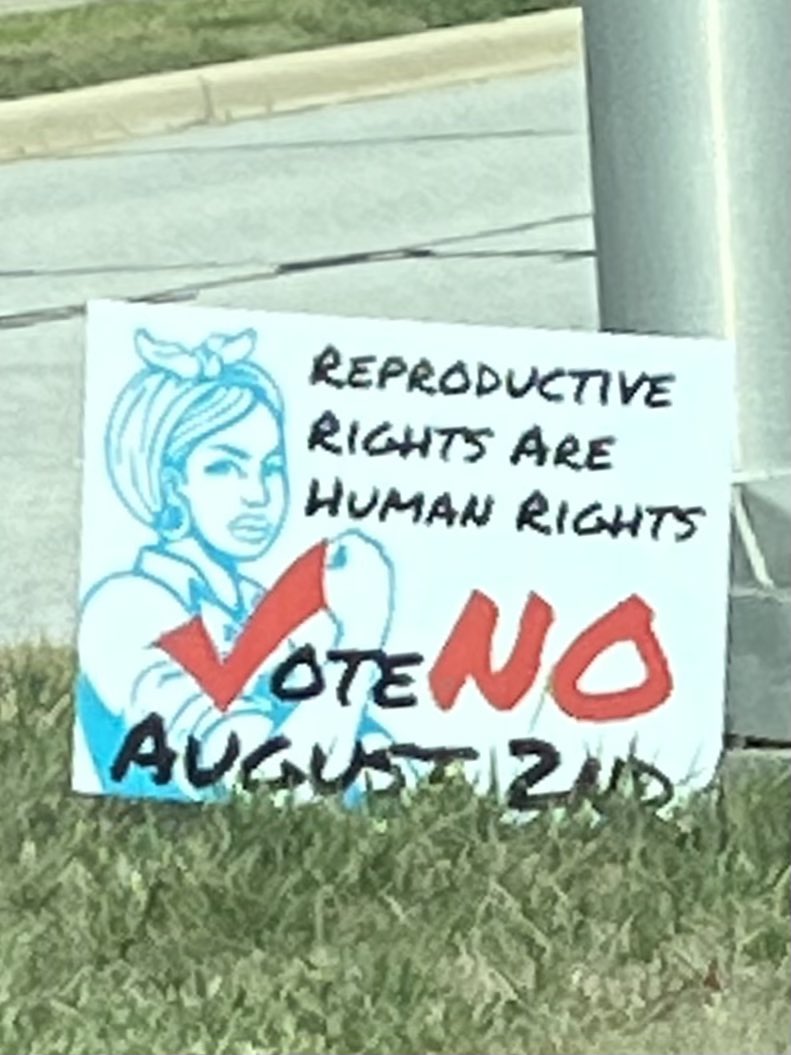 cindy4kansas's tweet photo. There were lots of super creative #VoteNo signs across the state.  

Here are a couple variations that were popular around my neighborhood.  

What different signs were near your neighborhood/part of Kansas? Post below!  #ksleg #VoteNeigh #Election2022 #2022Primary https://t.co/nHtNy7jWqw