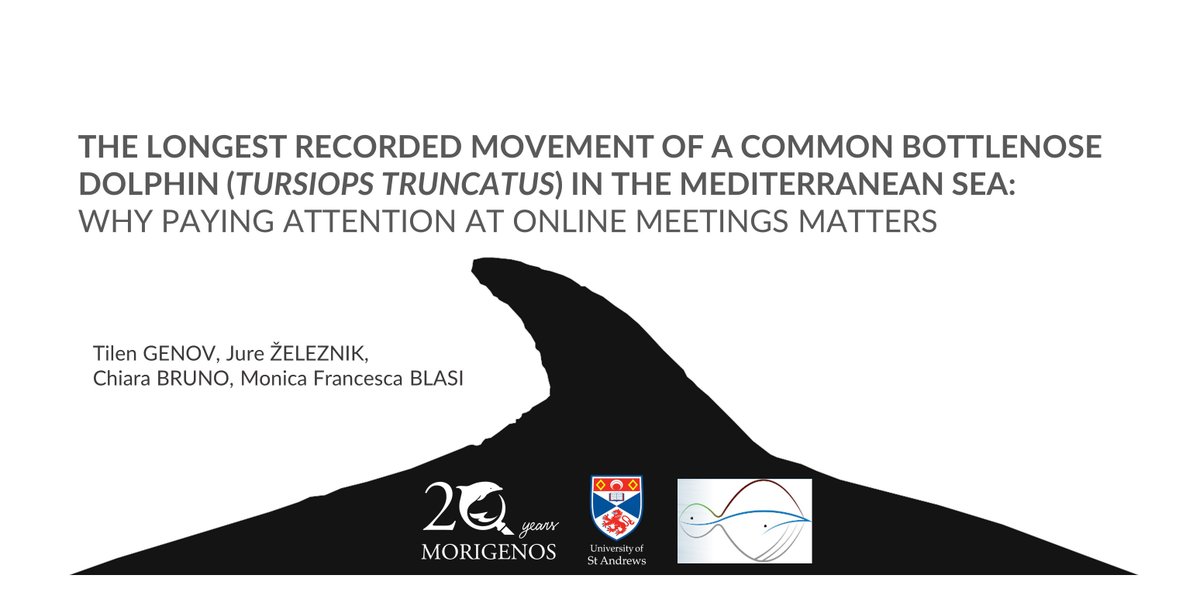 Check out our poster on-demand at #SMM2022 about the longest recorded movement of a #bottlenose #dolphin in the Mediterranean Sea (and one of the longest in the world) and how we discovered it. @marinemammalogy @Morigenos_org @_SMRU_