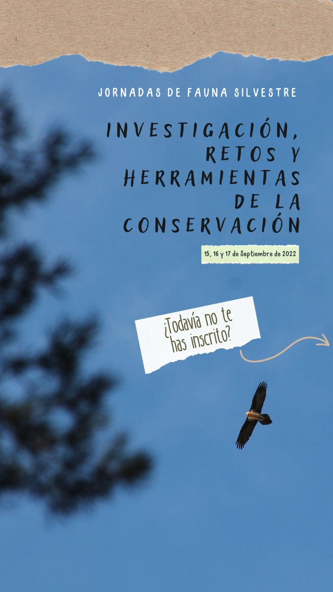 📣Se vienen Cositas📣

¿Todavía no te has inscrito a las #JFSMurcia22?

📅 15-17 #Septiembre 2022

📍 <a href="/fac_mur/">Facultad de Veterinaria de Mur</a> <a href="/UMU/">Universidad Murcia</a> 

Será un espacio abierto para toda persona con interés en la temática, ya sea profesional, académico, o simplemente ampliación de conocimientos.