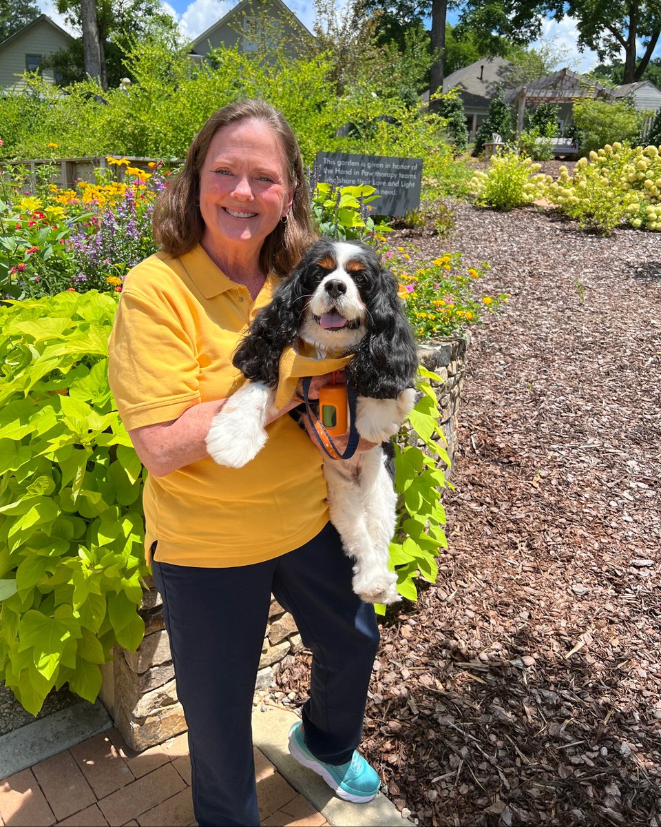 HandinPawAL's tweet photo. Look who recently passed their renewal evaluation 👀 It's Kathy &amp; Sadie!! Great job, gals!!
#handinpaw #animalassistedtherapy #therapydog #cavsofinstagram #cavalierkingcharlesspaniel https://t.co/vCqFuDBBtj